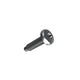 Torx Screw | Mopar | Part Number (68095855AA)