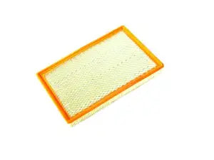 Air Cleaner Element | Mopar | Part Number (68386779AA)Fuel FiltersMy Mopar Garage