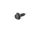 Screw | Mopar | Part Number (6512587AA)Motor Vehicle PartsMy Mopar Garage