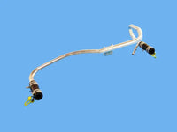 Egr Cooler Hose - Mopar (4893957AC)